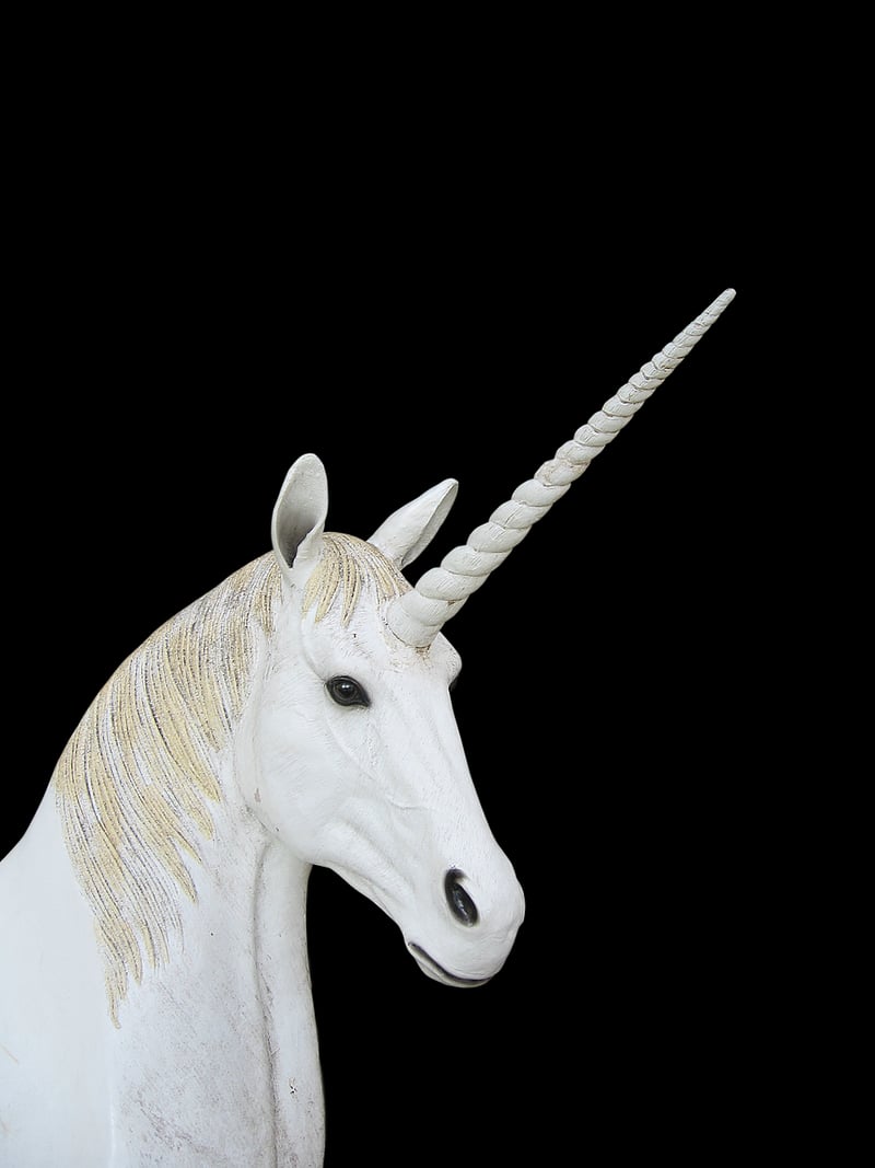 Unicorn Petting